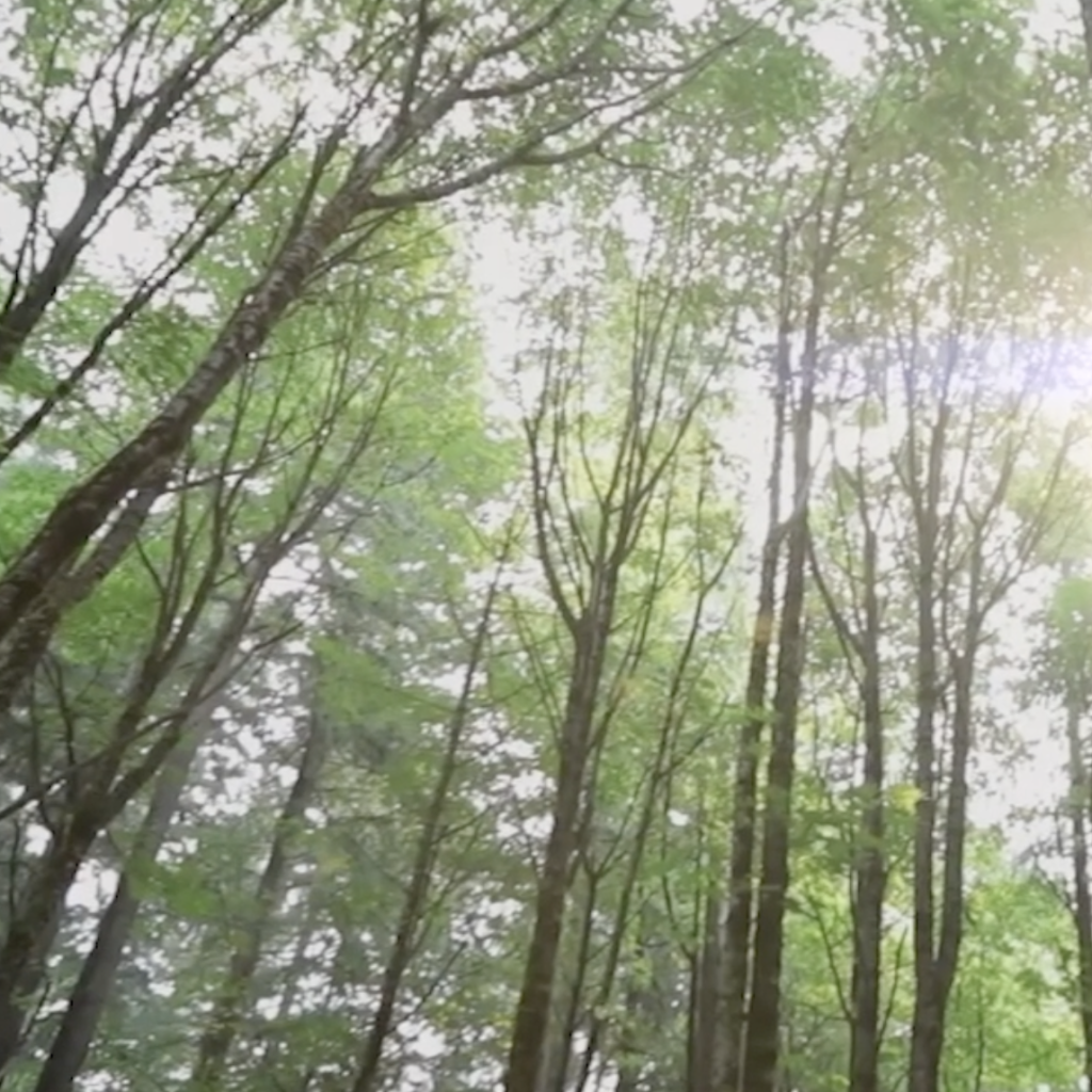 Screenshot 2026-02-10 at 2.30.04 PM