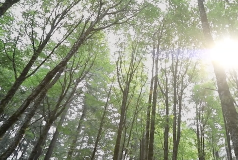 Screenshot 2026-02-10 at 2.30.04 PM